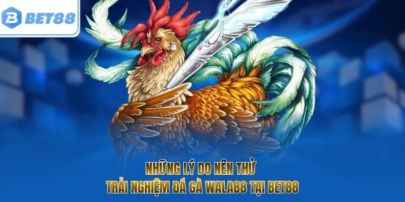 Những lý do nên thử trải nghiệm đá gà Wala88 tại Bet88